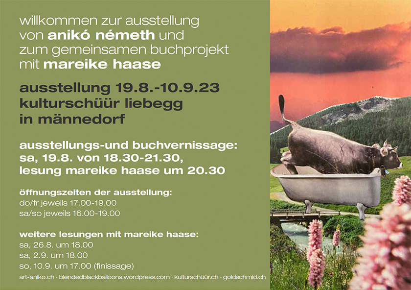Ausstellung Aniko Nemeth in der Kulturschüür Männedorf